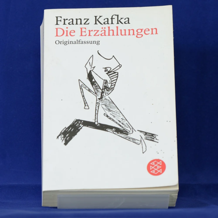 Franz Kafka: Die Erzählungen