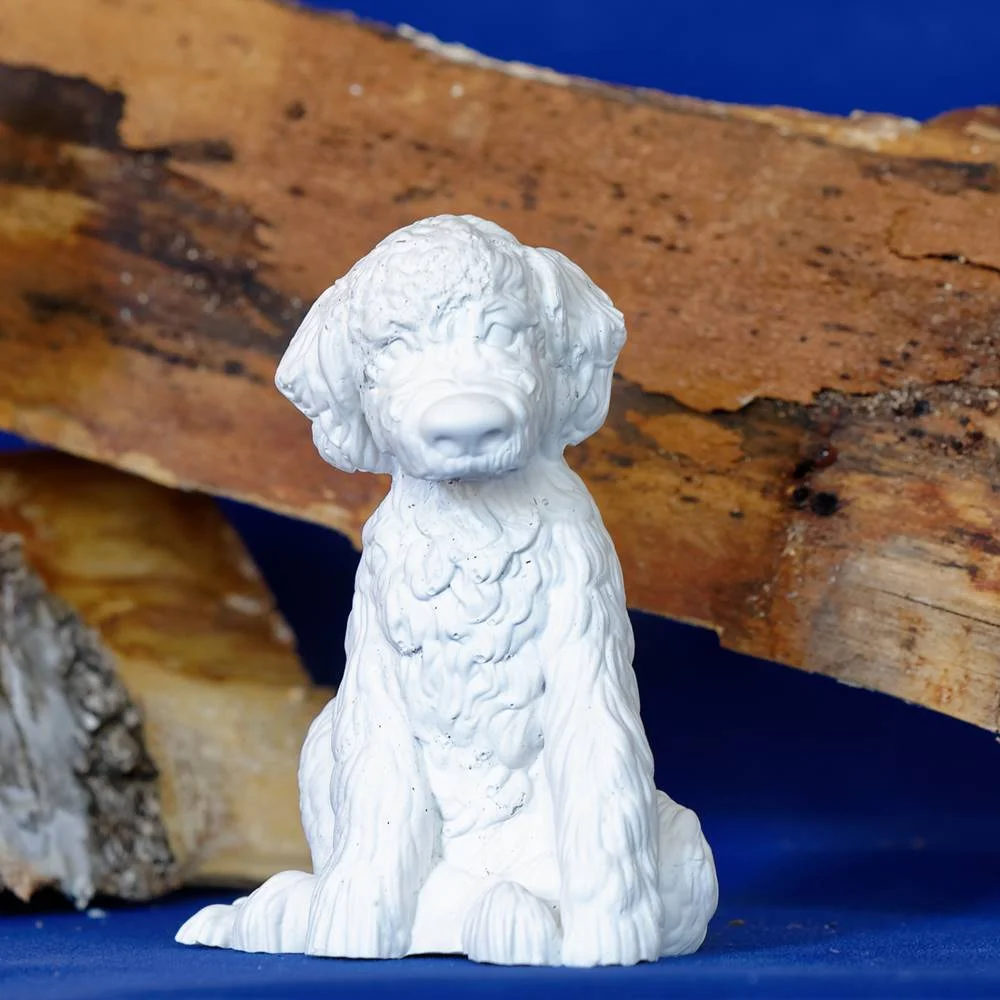 Labradoodle aus Gips